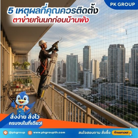 5 เหตุผลที่คุณควรติดตั้งตาข่ายกันนกก่อนบ้านพัง 5 เหตุผลที่คุณควรติดตั้งตาข่ายกันนกก่อนบ้านพัง