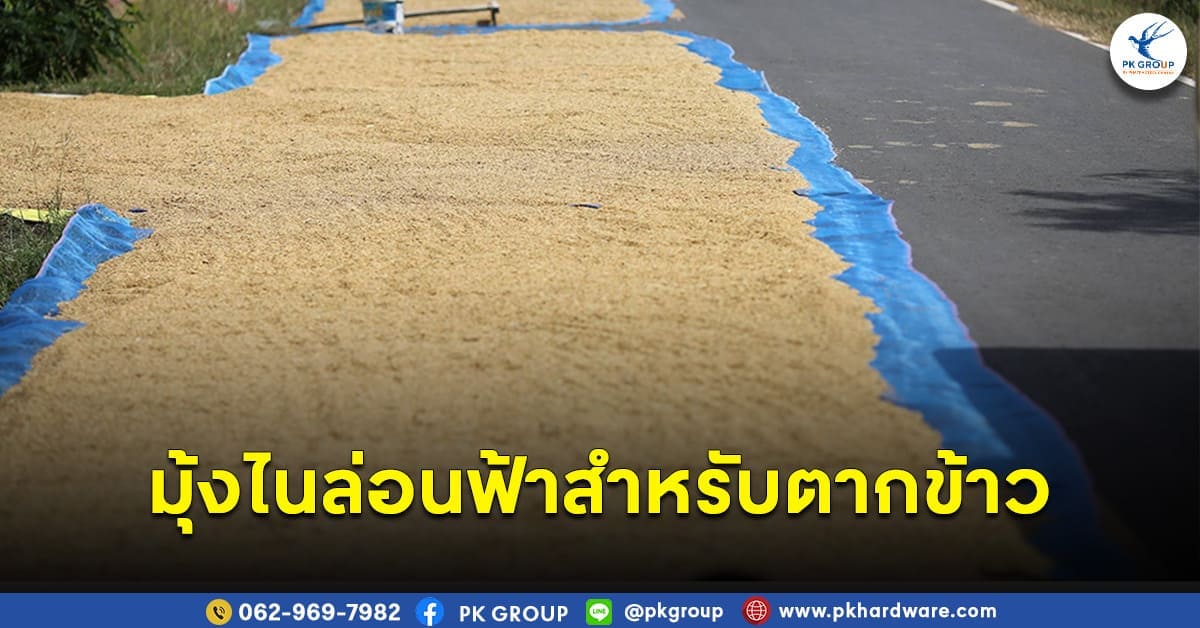 มุ้งไนล่อนฟ้า