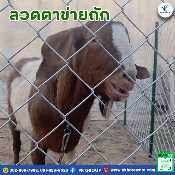ประโยชน์ของการใช้งานลวดตาข่ายถัก