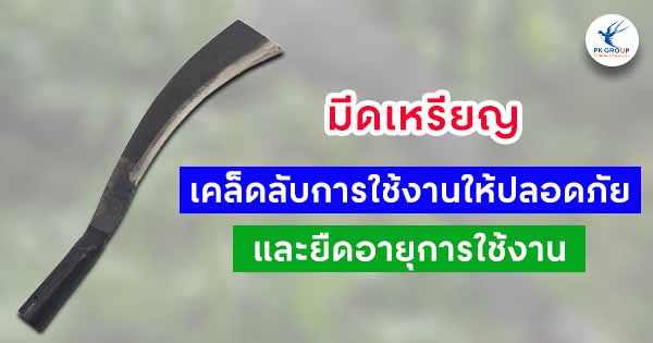 มีดเหรียญเคล็ดลับการใช้งานให้ปลอดภัยและยืดอายุการใช้งาน