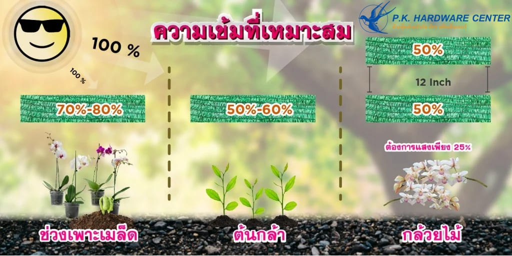 สแลน สแลนกันแดด ตาข่ายกรองแสง