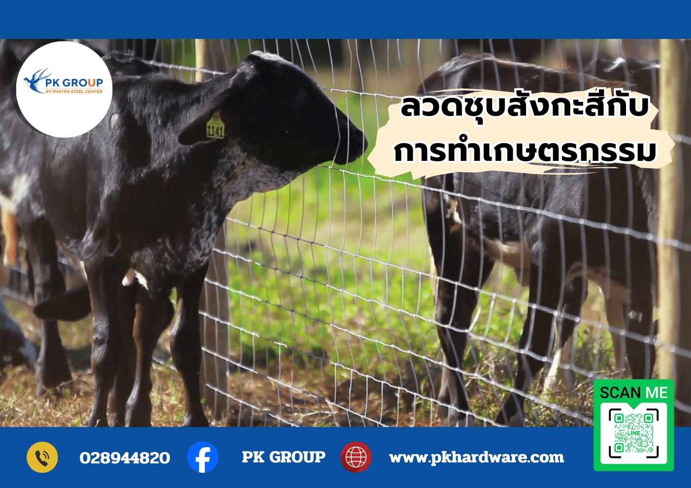 ลวดชุบสังกะสี