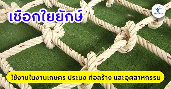 เชือกใยยักษ์กับการใช้งานในงานเกษตร ประมง ก่อสร้าง และอุตสาหกรรม
