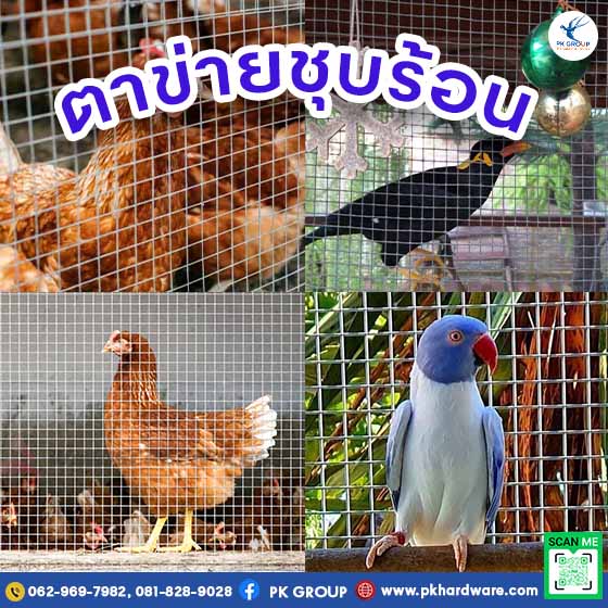 ลวดตาข่ายชุบร้อน ลวดตาข่ายสี่เหลี่ยม PK