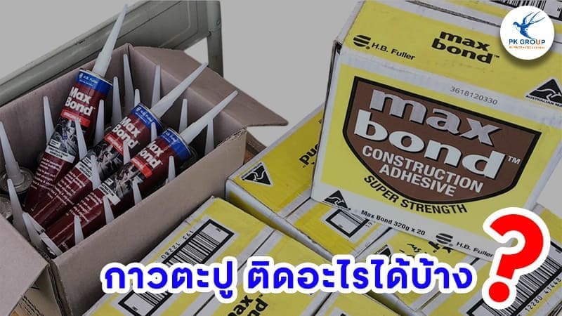 กาวตะปู