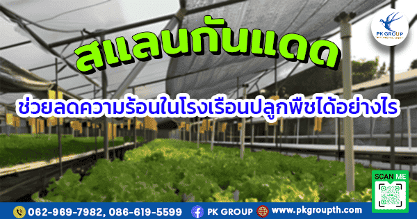 สแลนกันแดด