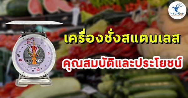 เครื่องชั่งสปริงสแตนเลส