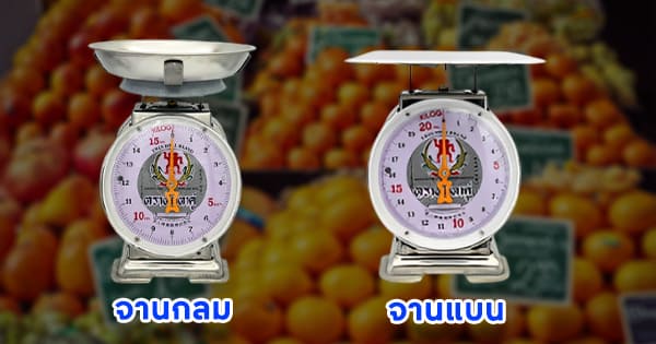 ขายเครื่องชั่งสปริงสแตนเลส