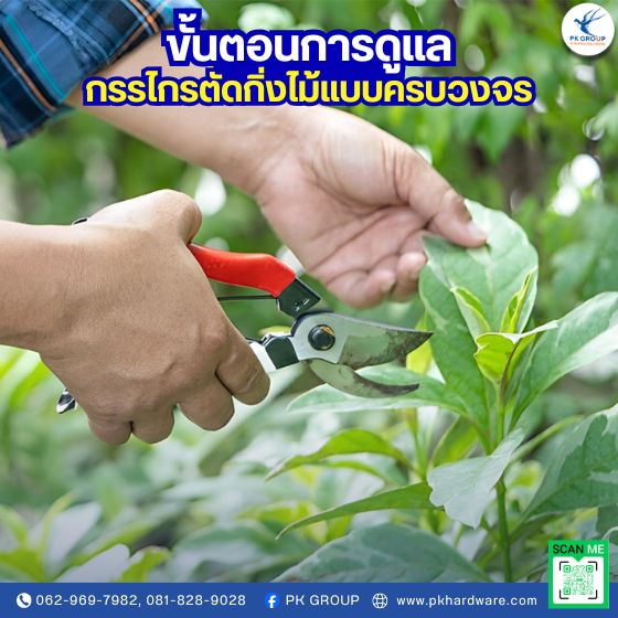 ขั้นตอนการดูแลกรรไกรตัดกิ่งไม้แบบครบวงจร