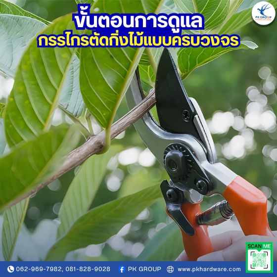 ขั้นตอนการดูแลกรรไกรตัดกิ่งไม้แบบครบวงจร