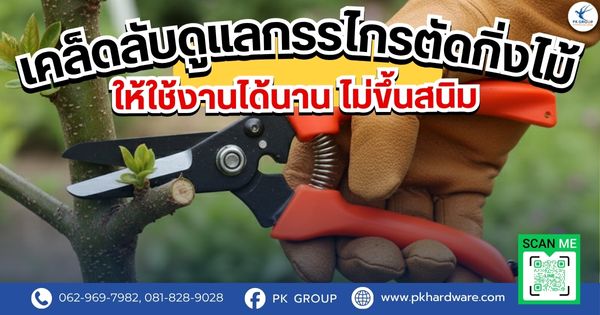 เคล็ดลับดูแลกรรไกรตัดกิ่งไม้ให้ใช้งานได้นาน ไม่ขึ้นสนิม