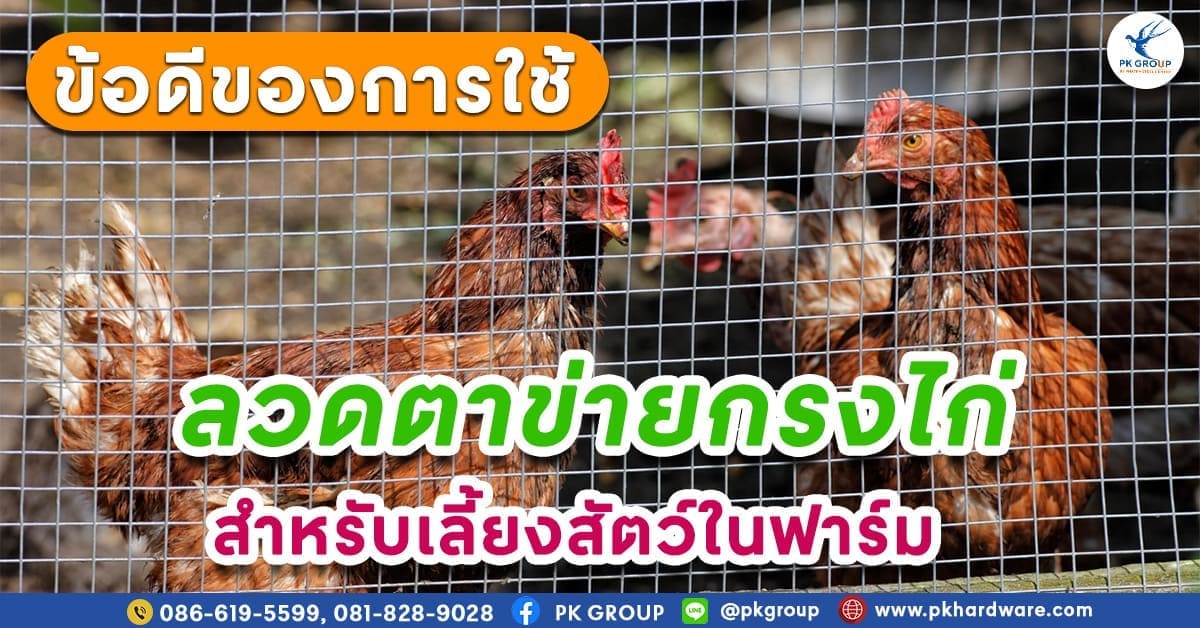 ลวดตาข่ายกรงไก่