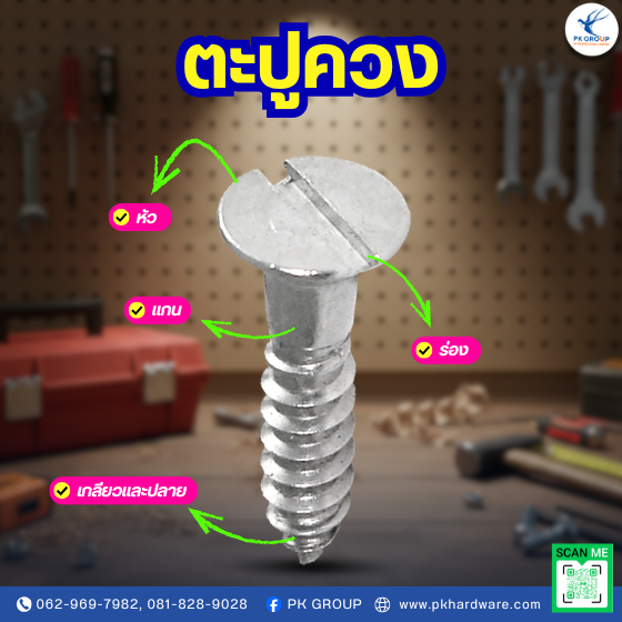 ส่วนประกอบหลักของตะปูควง ส่วนประกอบหลักของตะปูควง