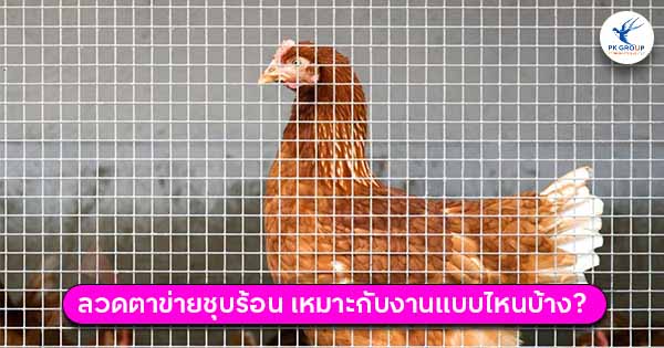 ลวดตาข่ายชุบร้อน เหมาะกับงานแบบไหนบ้าง?
