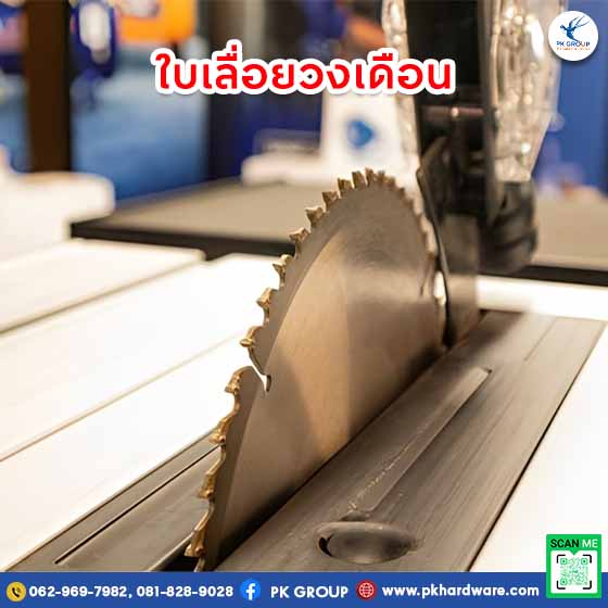 ใบเลื่อยวงเดือน