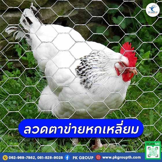 ลวดตาข่ายหกเหลี่ยม