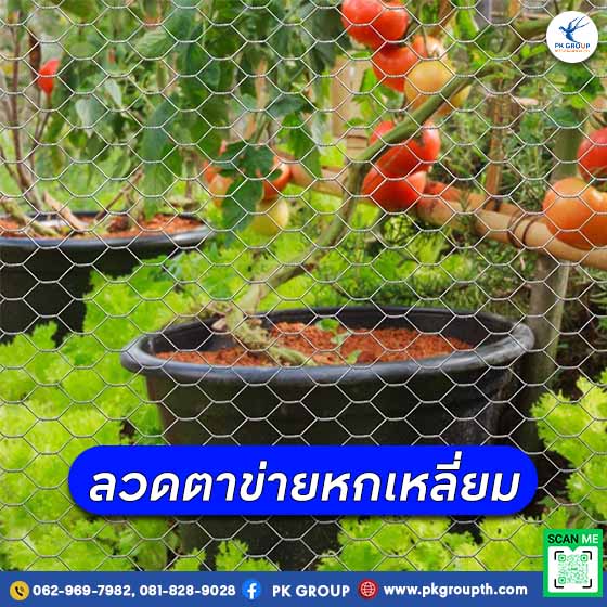 การใช้งานลวดตาข่ายหกเหลี่ยม