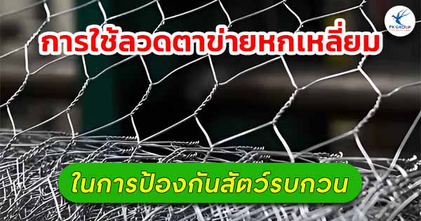 การใช้ลวดตาข่ายหกเหลี่ยมในการป้องกันสัตว์รบกวน