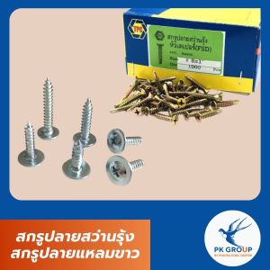 สกรูปลายสว่านรุ้ง สกรูปลายแหลมขาว